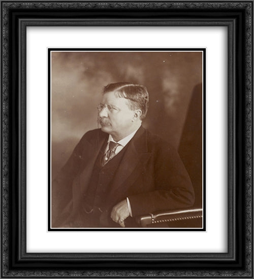 President Theodore Roosevelt, sitting side face 20x22 Black Ornate Wood Framed Art Print Poster with Double Matting by Library of Congress