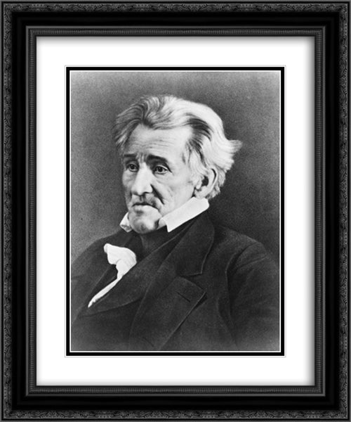 Andrew Jackson, half length portrait, seated, facing left 20x24 Black Ornate Wood Framed Art Print Poster with Double Matting by Library of Congress