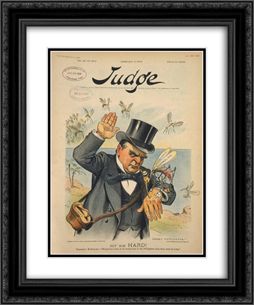Hit him hard! President McKinley - 'Mosquitoes seem to be worse here in the Philippines than they were in Cuba' 20x24 Black Ornate Wood Framed Art Print Poster with Double Matting by Library of Congress