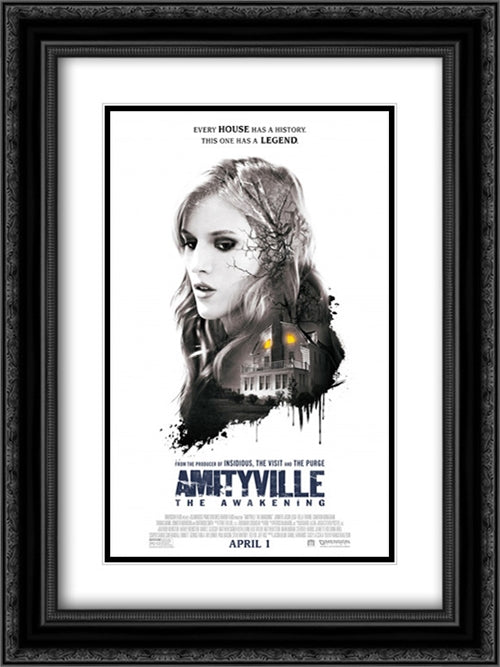 Amityville: The Awakening 18x24 Black Ornate Wood Framed Movie Poster with Double Matting