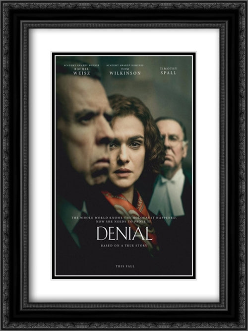Denial 18x24 Black Ornate Wood Framed Movie Poster with Double Matting