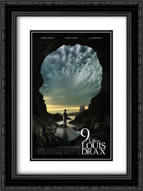 The 9th Life of Louis Drax 18x24 Black Ornate Wood Framed Movie Poster with Double Matting