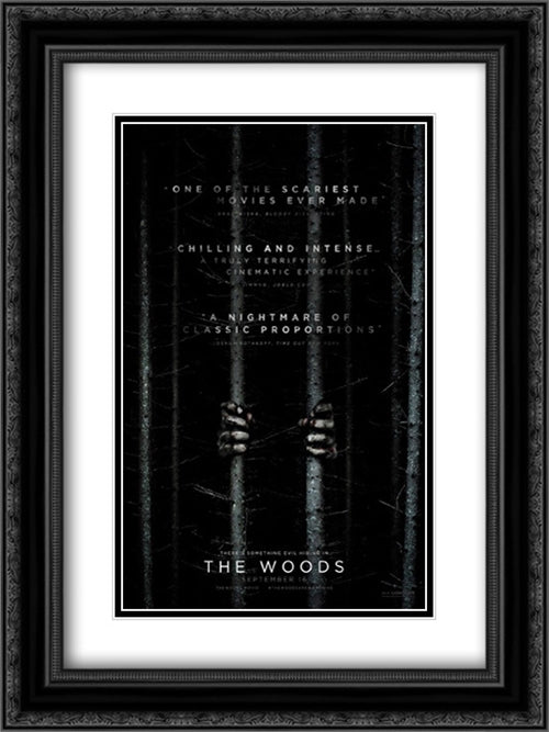 Blair Witch 18x24 Black Ornate Wood Framed Movie Poster with Double Matting