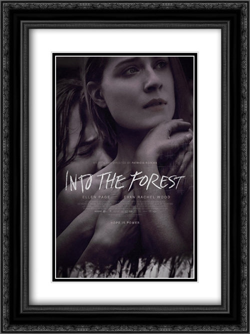 Into the Forest 18x24 Black Ornate Wood Framed Movie Poster with Double Matting
