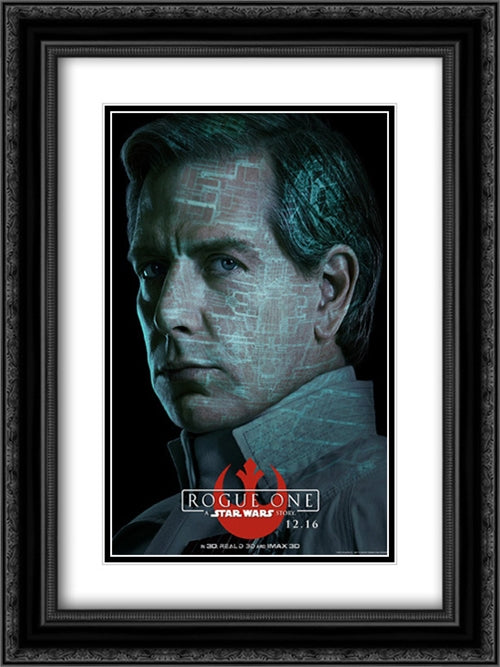 Rogue One: A Star Wars Story 18x24 Black Ornate Wood Framed Movie Poster with Double Matting