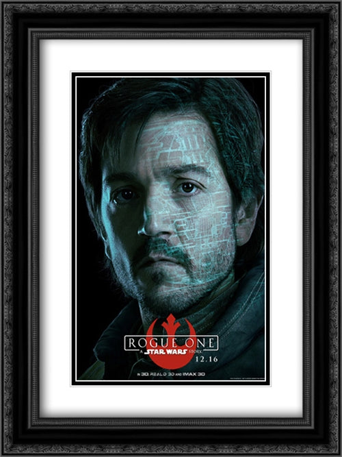 Rogue One: A Star Wars Story 18x24 Black Ornate Wood Framed Movie Poster with Double Matting