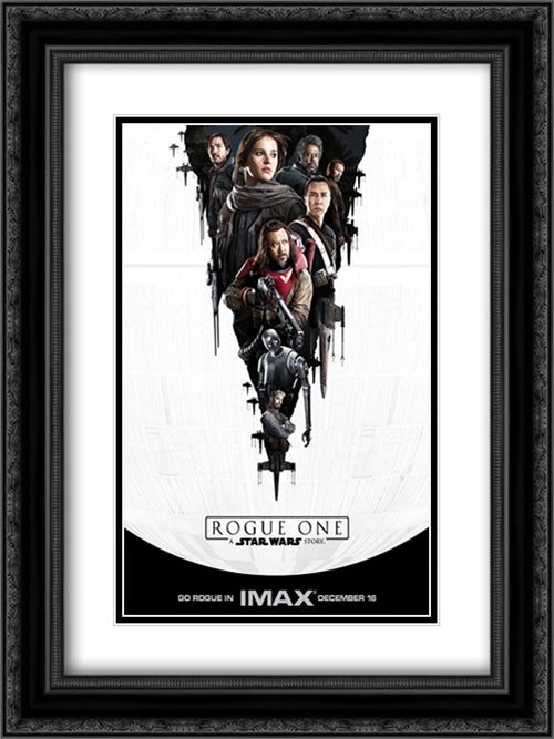 Rogue One: A Star Wars Story 18x24 Black Ornate Wood Framed Movie Poster with Double Matting