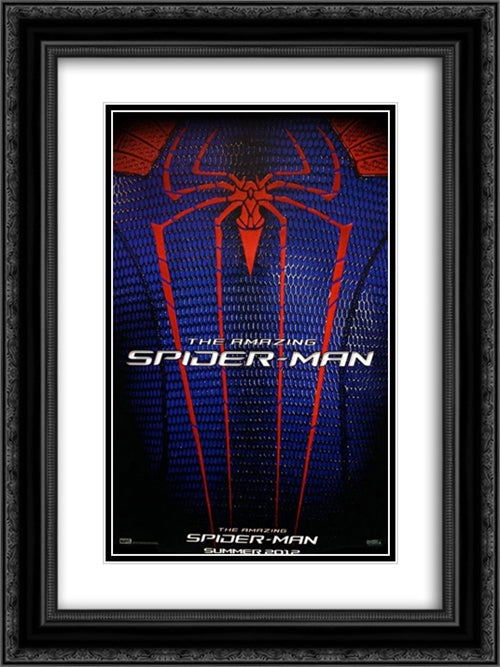 The Amazing Spider-Man 18x24 Black Ornate Wood Framed Movie Poster with Double Matting