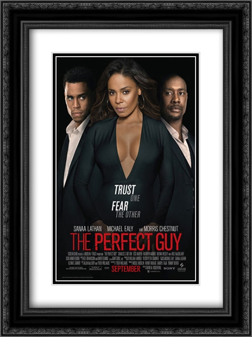 The Perfect Guy 18x24 Black Ornate Wood Framed Movie Poster with Double Matting