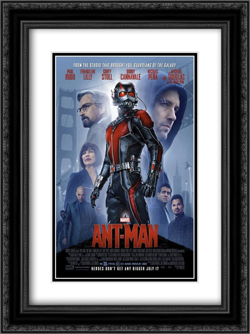 Ant-Man 18x24 Black Ornate Wood Framed Movie Poster with Double Matting