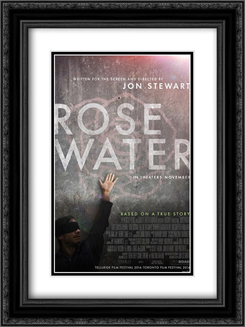 Rosewater 18x24 Black Ornate Wood Framed Movie Poster with Double Matting