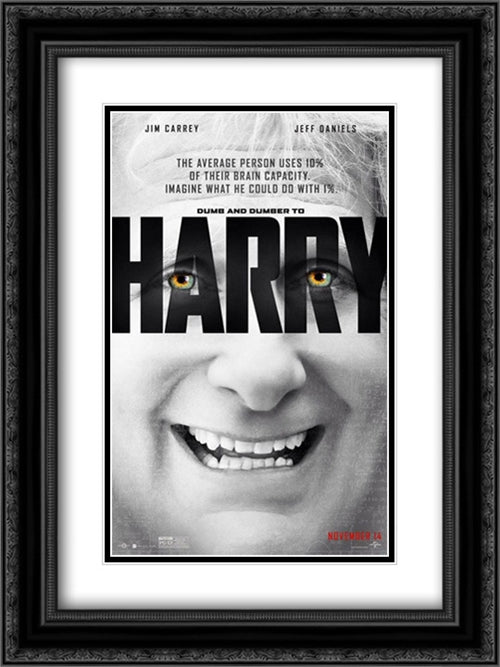 Dumb and Dumber To 18x24 Black Ornate Wood Framed Movie Poster with Double Matting