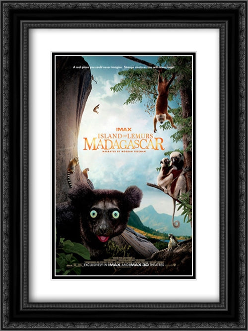 Island of Lemurs: Madagascar 18x24 Black Ornate Wood Framed Movie Poster with Double Matting