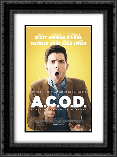 A.C.O.D. 18x24 Black Ornate Wood Framed Movie Poster with Double Matting