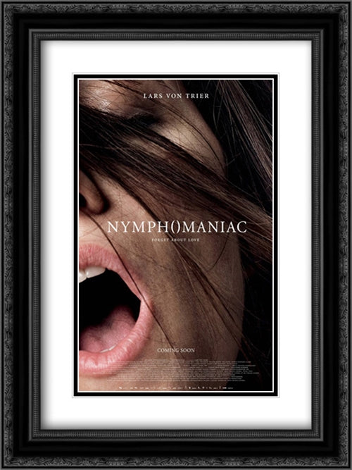 Nymphomaniac 18x24 Black Ornate Wood Framed Movie Poster with Double Matting