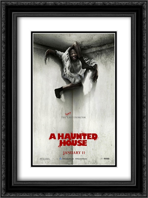 A Haunted House 18x24 Black Ornate Wood Framed Movie Poster with Double Matting