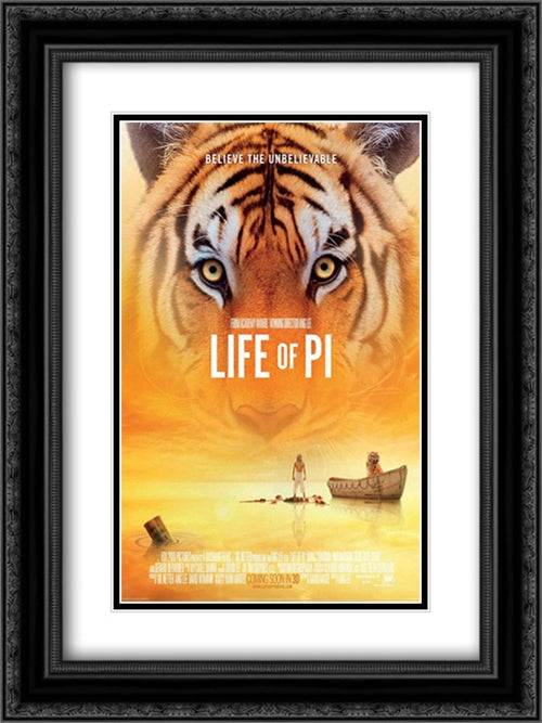 Life of Pi 18x24 Black Ornate Wood Framed Movie Poster with Double Matting