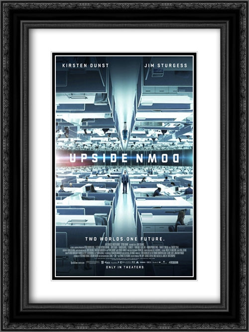 Upside Down 18x24 Black Ornate Wood Framed Movie Poster with Double Matting