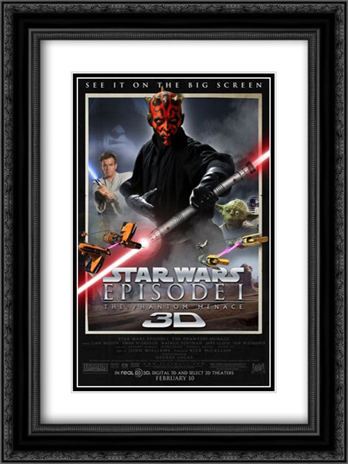 Star Wars: Episode I - The Phantom Menace 3D 18x24 Black Ornate Wood Framed Movie Poster with Double Matting
