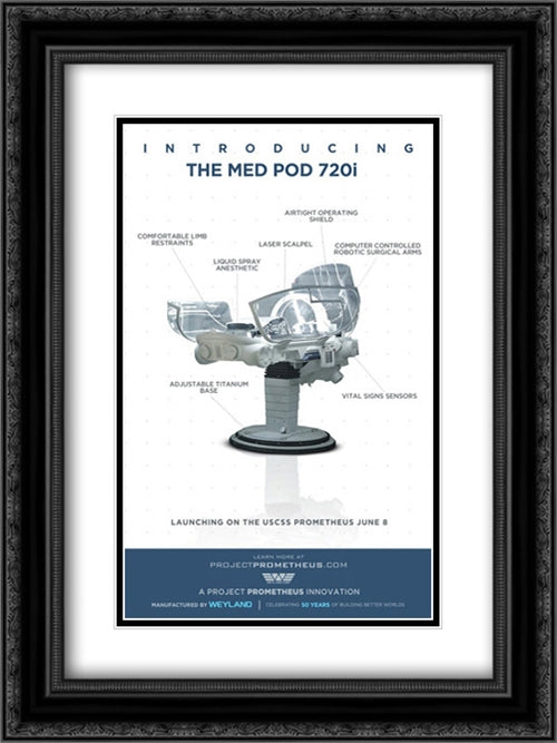 Prometheus 18x24 Black Ornate Wood Framed Movie Poster with Double Matting