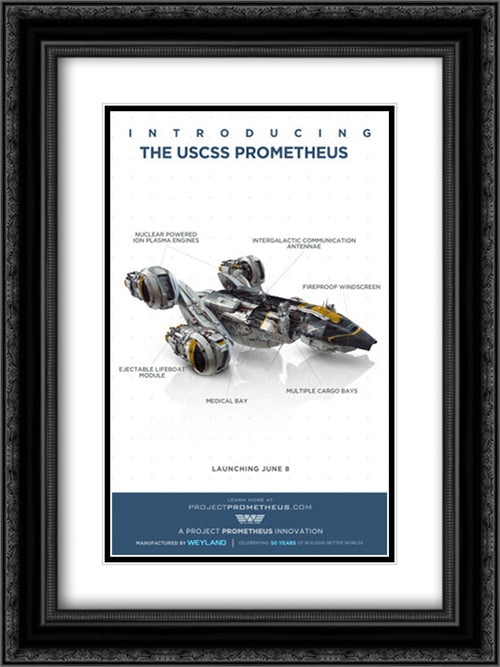 Prometheus 18x24 Black Ornate Wood Framed Movie Poster with Double Matting
