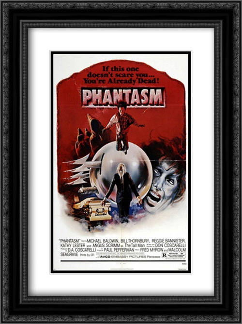 Phantasm 18x24 Black Ornate Wood Framed Movie Poster with Double Matting
