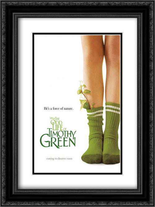 The Odd Life of Timothy Green 18x24 Black Ornate Wood Framed Movie Poster with Double Matting