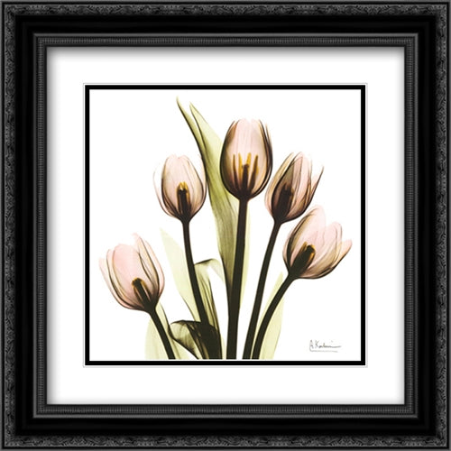 Crystal Flowers X-Ray, Tulip Bouquet 16x16 Black Ornate Wood Framed Art Print Poster with Double Matting by Koetsier, Albert