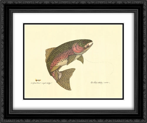 Rainbow Trout 2x Matted 20x24 Black Ornate Wood Framed Art Print Poster with Double Matting by Blehm, Terri