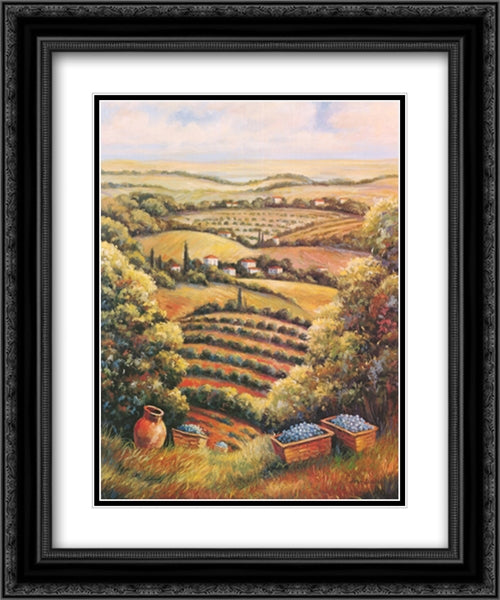 Tuscany Vista II 2x Matted 20x24 Black Ornate Wood Framed Art Print Poster with Double Matting by Zaccheo, John