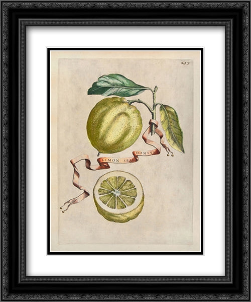 Baroque Fruit - Lemons 17x22 Black Ornate Wood Framed Art Print Poster with Double Matting by Ferrari, Giovanni