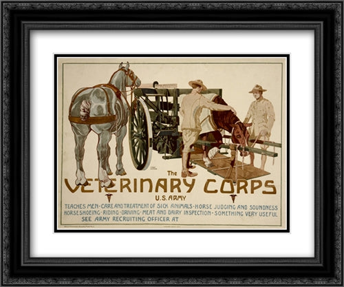 Veterinary Corps. U.S. Army 22x16 Black Ornate Wood Framed Art Print Poster with Double Matting by Schreck