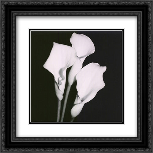 Calla Portrait II 16x16 Black Ornate Wood Framed Art Print Poster with Double Matting by Maihara, Jeff