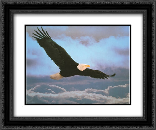 Bald Eagle 2x Matted 20x24 Black Ornate Wood Framed Art Print Poster with Double Matting