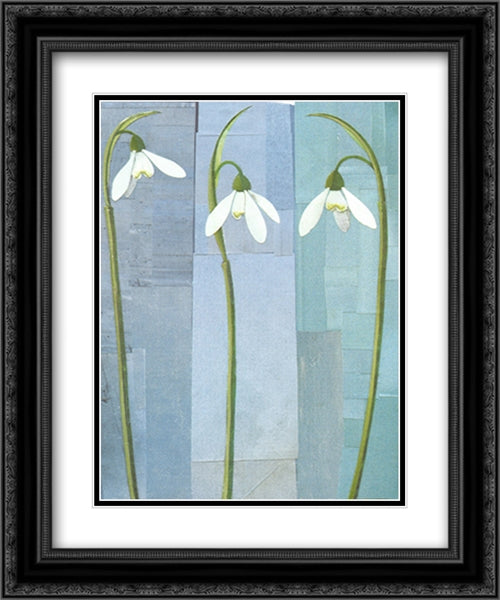 Three Snowdrops 16x20 Black Ornate Wood Framed Art Print Poster with Double Matting by Hill, Marian