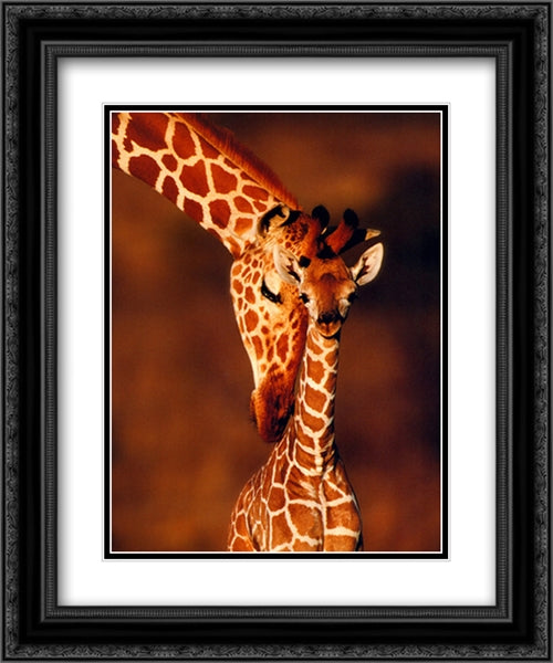 Giraffe 2x Matted 20x24 Black Ornate Wood Framed Art Print Poster with Double Matting by Ammann, Karl