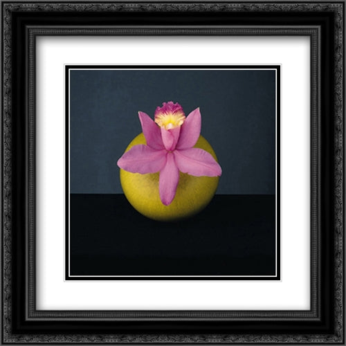 Orchid, 1987 2x Matted 20x20 Black Ornate Wood Framed Art Print Poster with Double Matting by Mapplethorpe, Robert