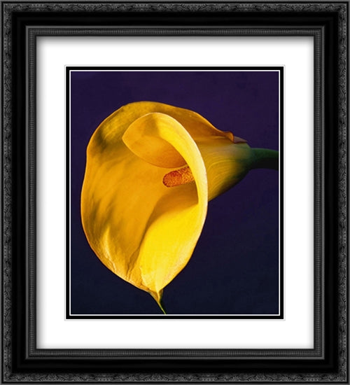 Calla Lily, 1987 2x Matted 20x24 Black Ornate Wood Framed Art Print Poster with Double Matting by Mapplethorpe, Robert