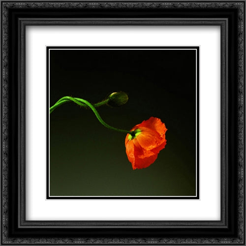 Poppy, 1988 2x Matted 20x24 Black Ornate Wood Framed Art Print Poster with Double Matting by Mapplethorpe, Robert