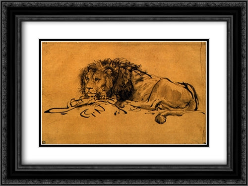 A Lion Lying Down 2x Matted 24x20 Black Ornate Wood Framed Art Print Poster with Double Matting by Rembrandt