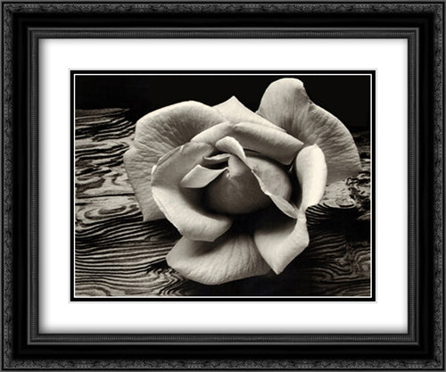 Rose and Driftwood 2x Matted 24x20 Black Ornate Wood Framed Art Print Poster with Double Matting by Adams, Ansel