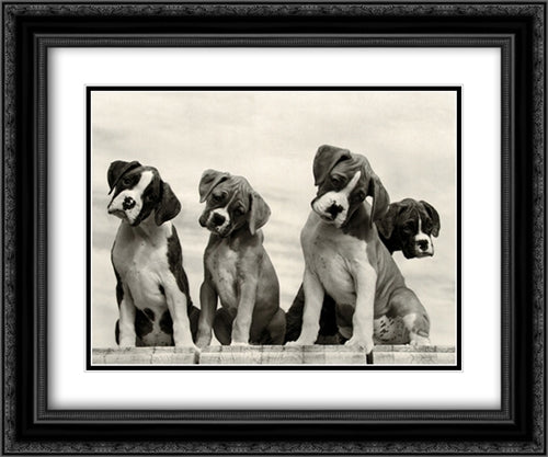 Wonder 2x Matted 24x20 Black Ornate Wood Framed Art Print Poster with Double Matting by Beals, Sharon