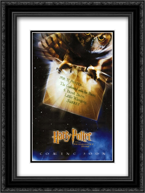 Harry Potter Sorcerer's Stone 18x24 Black Ornate Wood Framed Movie Poster with Double Matting
