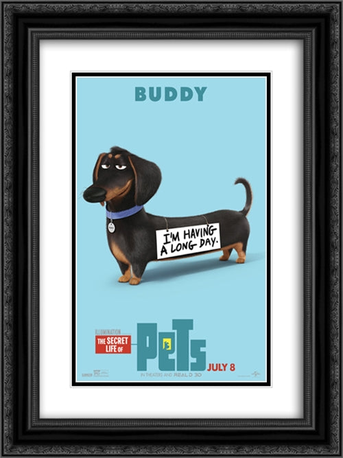 The Secret Life of Pets 18x24 Black Ornate Wood Framed Movie Poster with Double Matting