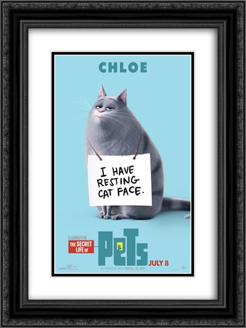 The Secret Life of Pets 18x24 Black Ornate Wood Framed Movie Poster with Double Matting