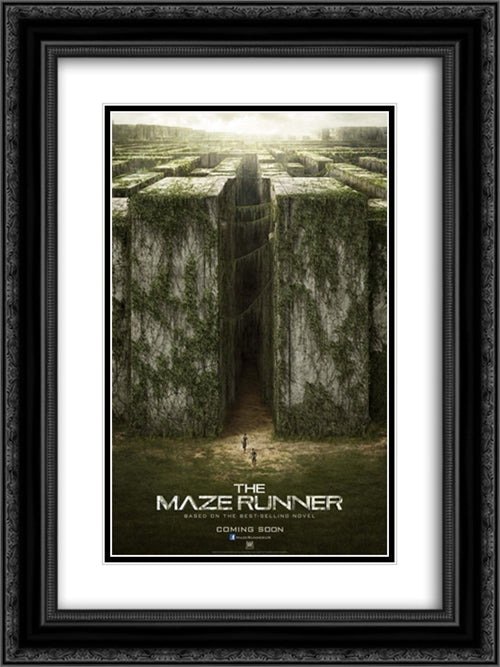 The Maze Runner 18x24 Black Ornate Wood Framed Movie Poster with Double Matting