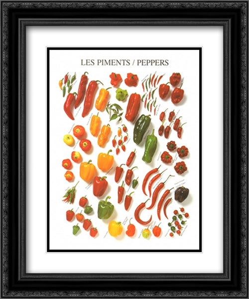 Piments 2x Matted 20x24 Black Ornate Wood Framed Art Print Poster with Double Matting