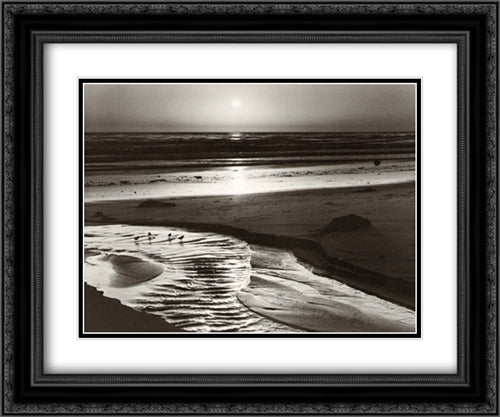 Birds on a Beach 2x Matted 24x20 Black Ornate Wood Framed Art Print Poster with Double Matting by Adams, Ansel