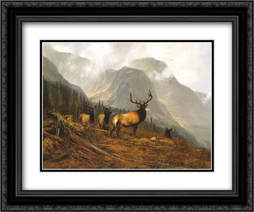 Bookcliffs Elk 2x Matted 24x20 Black Ornate Wood Framed Art Print Poster with Double Matting by Coleman, Michael
