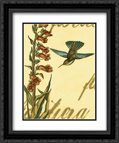 Peaceful Hummingbird II 17x23 Black Ornate Wood Framed Art Print Poster with Double Matting
